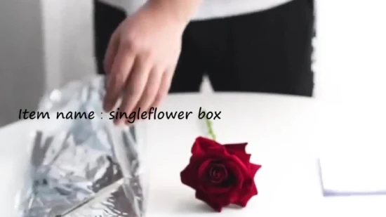 Blumen-Geschenktüte Großhandel mit einzelnen Blumentüten